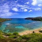 ハワイ旅行を親族・家族で楽しめるおすすめのオプショナルツアー